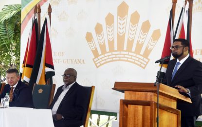 President says will not abandon ‘risky’ Amaila project