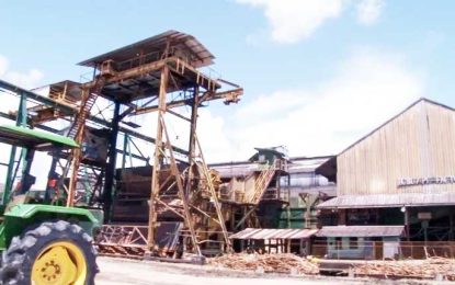 GuySuCo cries foul as Uitvlugt workers go on strike