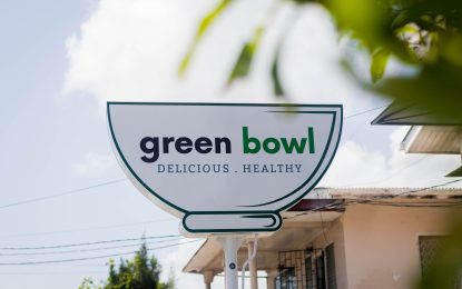 Green Bowl: For the Healthy and Delicious
