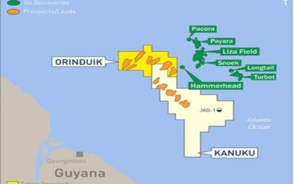 Shares tumble as UK, Spanish explorers hit water instead of oil-bearing targets in Kanuku block