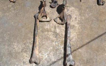 Human skeletal remains found at WBD sea dam