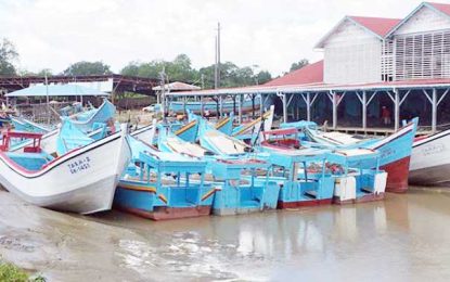 Guyana and Suriname in diplomatic row over fishing licences