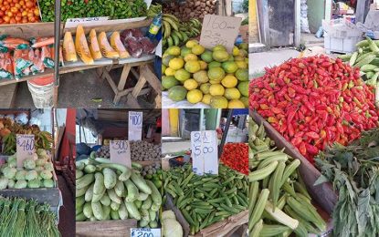 Agri. Ministry promises to clamp down on high ‘fresh food’ prices