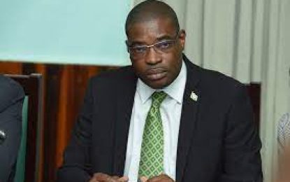 ‘Cash grant won’t solve woes of fishing industry’ – Patterson