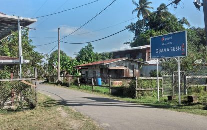 Guava Bush – A peaceful community with contented and hardworking inhabitants