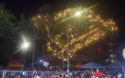 Hundreds attend Courts Christmas tree light up following 2-year hiatus