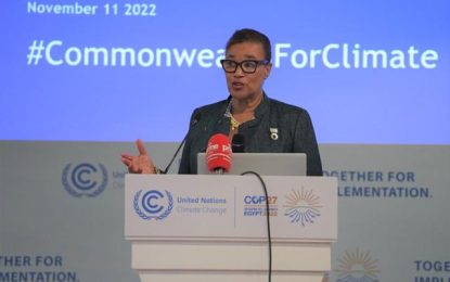 COP27: Businesses urged to step up fight against climate change