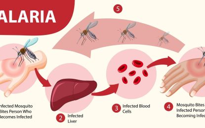 Mining activities driving malaria cases up in Guyana