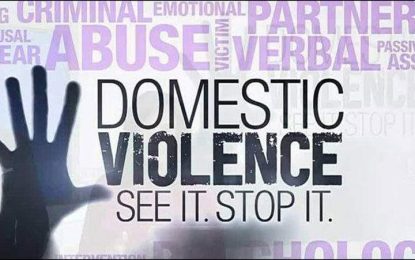 Close to 900 domestic violence cases recorded in 2022 – Human Services Ministry