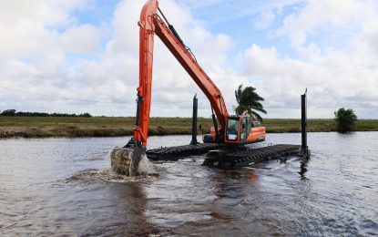 Agri. Ministry acquires $438M amphibious excavators