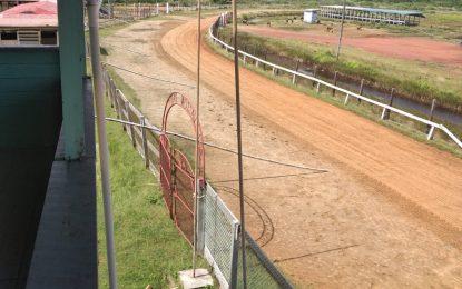 Trophy Stall on board as preparations continue for Kennard Memorial Turf Club Boxing Day Horserace meet