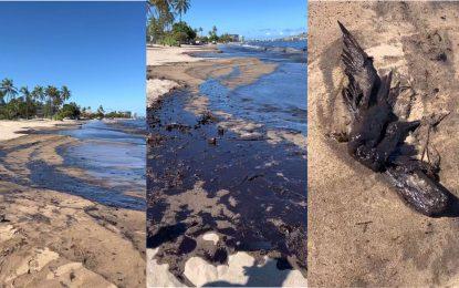 Oil spill hits 4 kilometers of Venezuelan coast