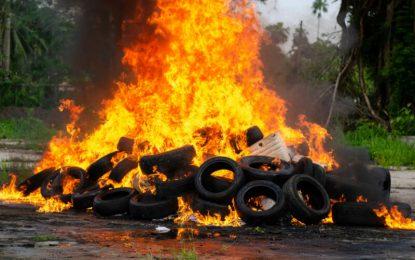 CANU destroys 596 kgs of narcotics