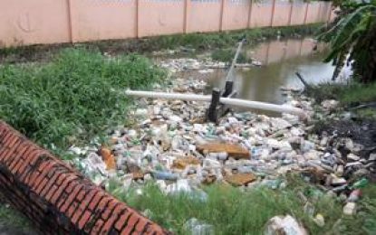 Ending littering in Guyana: A hopeless delusion or a promising reality? Part 1