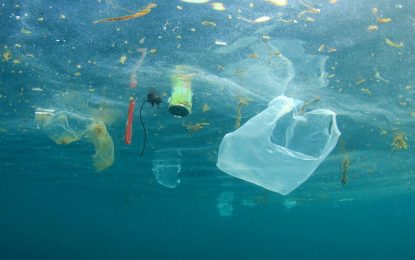 The harmful effects of single-use plastic on the environment