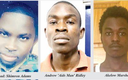 Duo remanded to prison for D’Urban Street murder