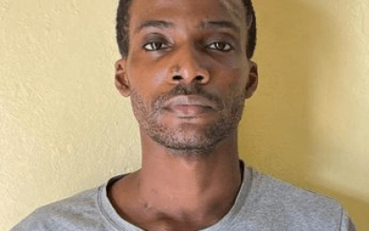 Nigerian charged for State House attack