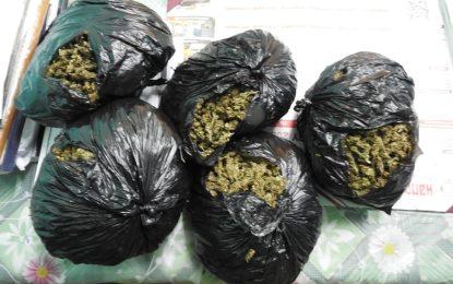 Labourer busted with ganja in minibus at Harbour Bridge