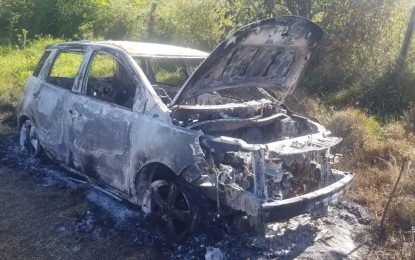 Businesswoman’s car stolen and torched