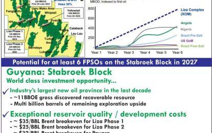 ‘ExxonMobil would not turn its back on gold-bearing vein’- AFC