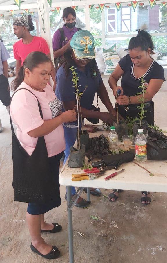 Training at NAREI on cherry production