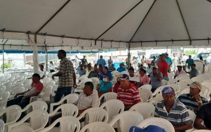 Frustrated Essequibo farmers call for better paddy prices