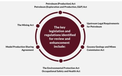 Archaic petroleum law among four legislations identified for review – Ministry’s brief