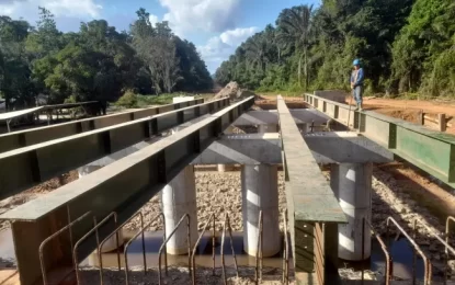 Construction of hinterland bridges 60 per cent complete