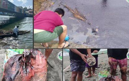 Sunken fuel tanker owner unable to pay Philippines US$1B for oil spill