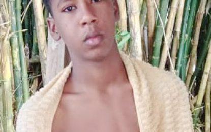 Fourteen-year-old boy drowns at Orealla