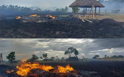 Petroglyph complex at Aishalton reportedly set on fire