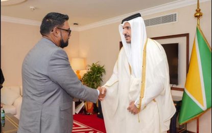 President Ali engages Qatari Govt. officials, private sector during official visit
