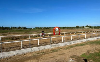 Surinamese horses showing great potential in preparation for the Breeders Cup
