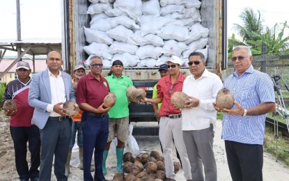 Hope Estate receives additional 13,000 high-yielding Brazilian Green Dwarf coconut seed nuts