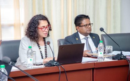 Guyana, UN body assess progress on Sustainable Development Goals