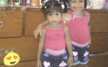 Two sisters burnt to death in Mahaica house fire