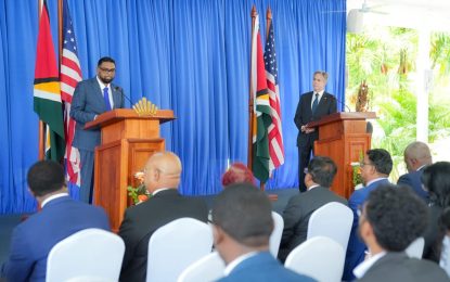 Pres. Ali wants country to prepare smooth pathway for more US investors