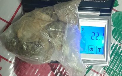 Moruca man nabbed with ganja