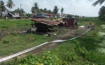 Four arrested after labourer stabbed to death in Corentyne