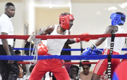 Winfield Braithwaite Caribbean Schoolboy/Junior boxing c/ship set to kickoff tomorrow    