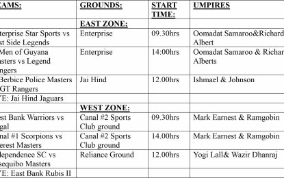 Peter Lewis Construction & Asphalt Plant Services Big Man Cricket-2 @ O40s restarts this weekend