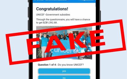 UNICEF warns against fraudulent link circulated on social media