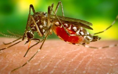 Zika: A silent virus requiring enhanced surveillance and control