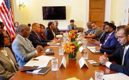 US Congress officials discuss economic inclusion with President Ali