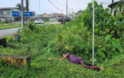 Body of Amerindian man found at Bartica