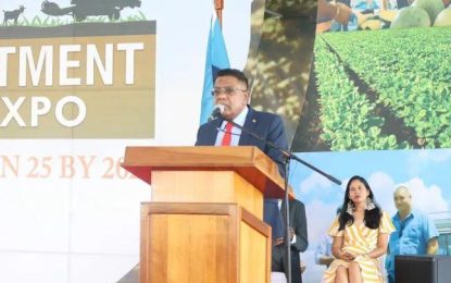 Investment critical to unlocking agricultural potential – Min. Mustapha
