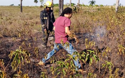 Fire destroys crops on farm in Region Nine