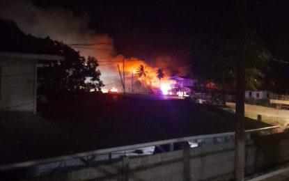 Bush fire smokes out residents at Corentyne village