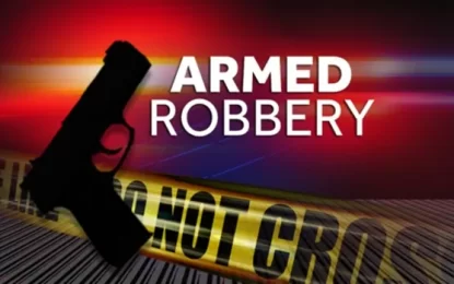Repeat offender remanded for robbery
