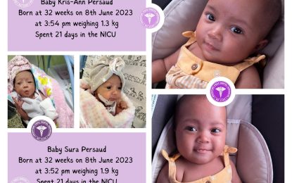 Little Lives, Big Futures